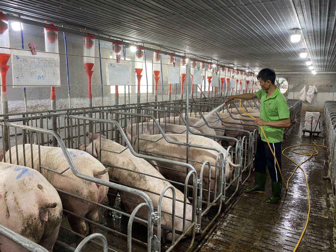 Giới thiệu CÔNG TY TNHH SAGO AGENCY